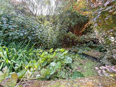 Picture 26